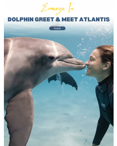 Dolphin Meet and Greet at Atlantis