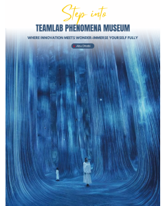 Team Lab Phenomena
